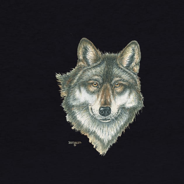 Alpha by Dave Bartholet Wildlife Art